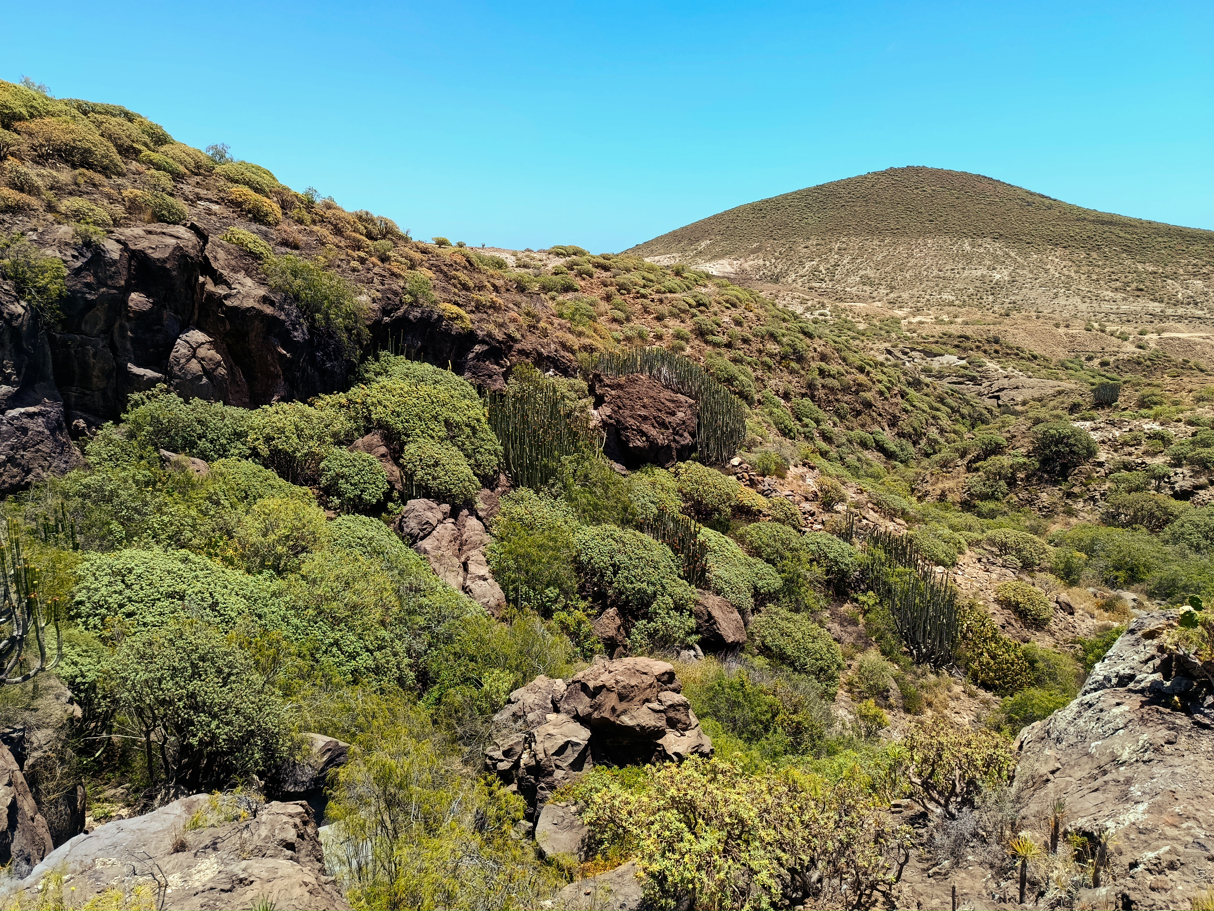 Barranco de Ifara